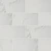 Carrara Polished 12 in. x 24 in. Polished Porcelain Floor and Wall Tile (16 sq. ft./case)