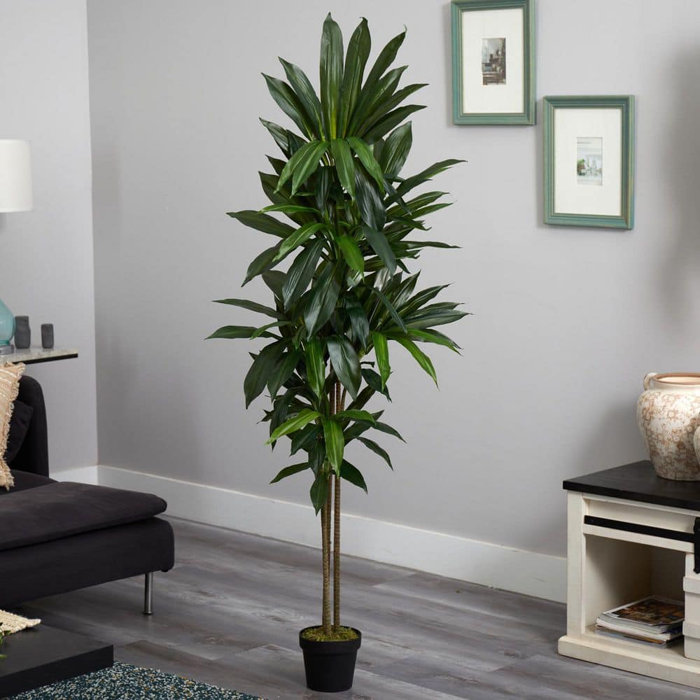 6' Green Dracaena Silk Floor Plant in Terracotta Pot