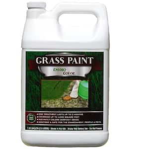 4,000 sq. ft. 4 EverGreen - Green Grass Colorant Concentrate