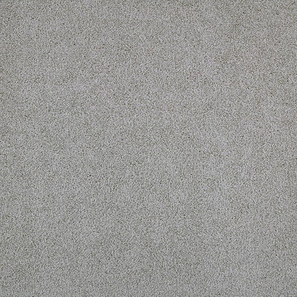 Mohawk 8 in. x 8 in. Texture Carpet Sample - Playful Moments II (T) -Color Whisp of Wonder