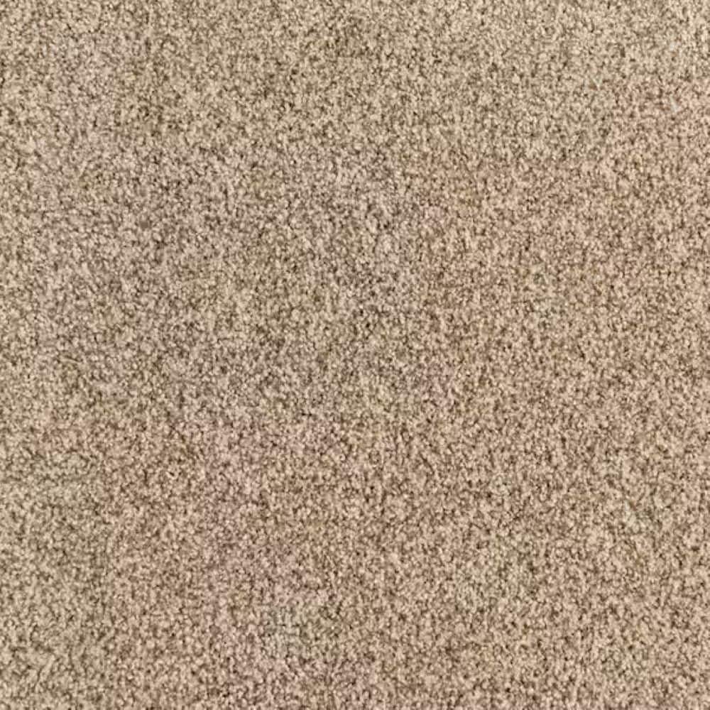 8 in. x 8 in. Texture Carpet Sample-Heartfelt Fashion-Color Bare Essence price history on PriceWatchPro