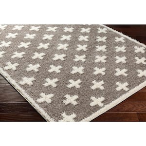 Rodos Charcoal 8 ft. x 10 ft. Indoor Area Rug