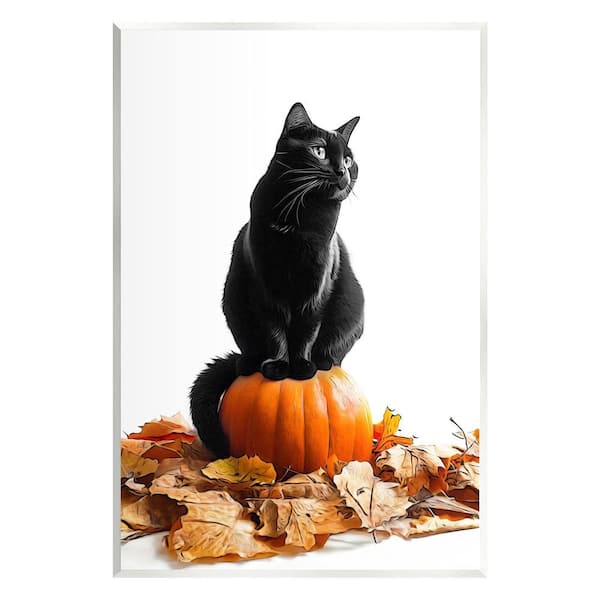 Stupell Industries Black Cat and Pumpkin by Annalisa Latella 1-Piece Unframed Graphic Print Animal Poster Art Print 19 in. x 13 in.
