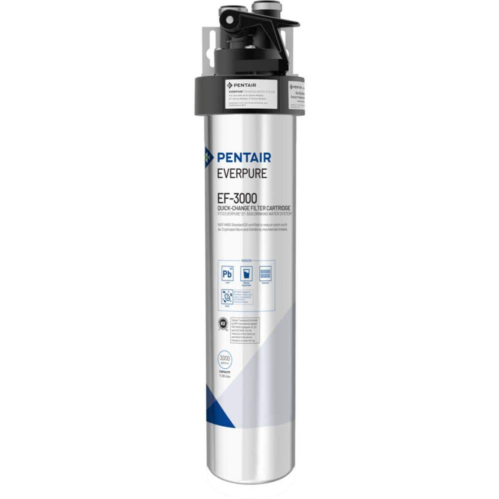 https://images.thdstatic.com/productImages/09a1f2d3-0b8b-4eeb-9bd2-f18cc12975ce/svn/silver-pentair-under-sink-water-filter-systems-ev985700-64_1000.jpg