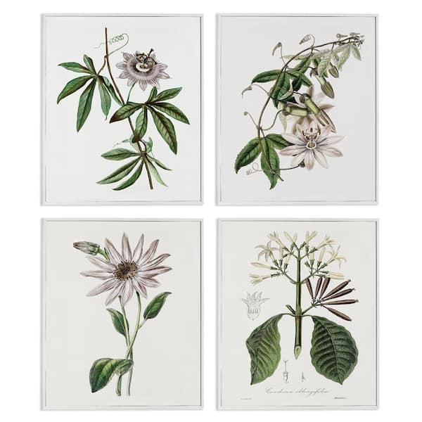 Various Vintage Botanicals by CAD Design 4 Piece White Framed Nature Giclee Art Print 20 in. x 16 in.