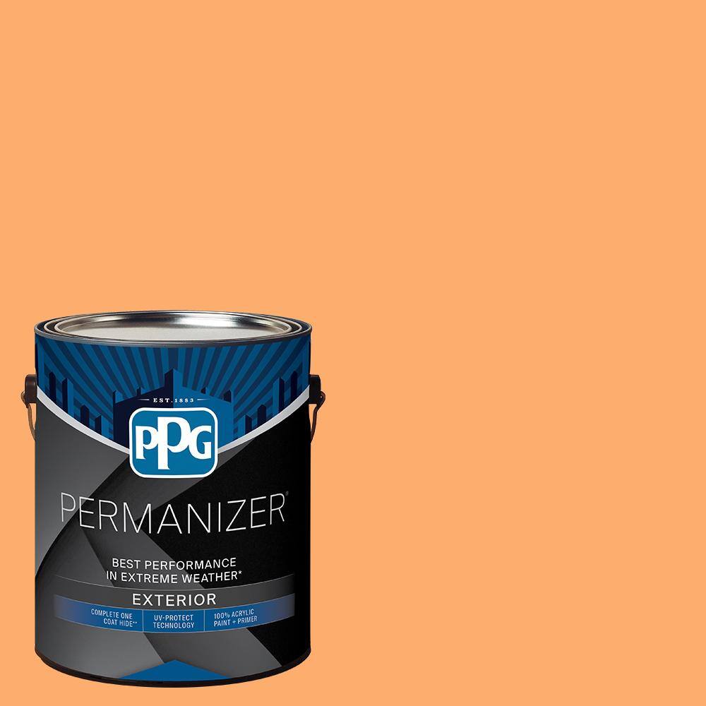 1 gal. PPG17-21 Sorbete De Melon Satin Exterior Paint price history on PriceWatchPro