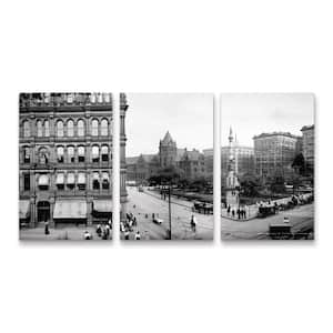 Print Collection Buffalo Panorama1 3-Piece Panel Set Unframed Photography Wall Art 19 in. H x 36 in. W