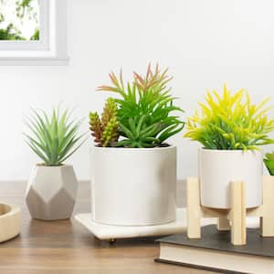 9 in. White Artificial Succulent Arrangement in Ceramic Pot