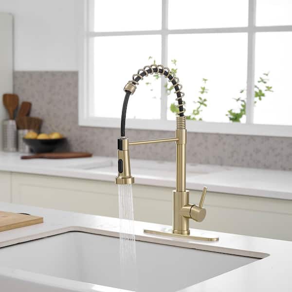 Commercial Style Spring Brushed Gold 19.01 in. H 2-Func Pull-Down Kitchen Faucet W/ 360° Swivel
