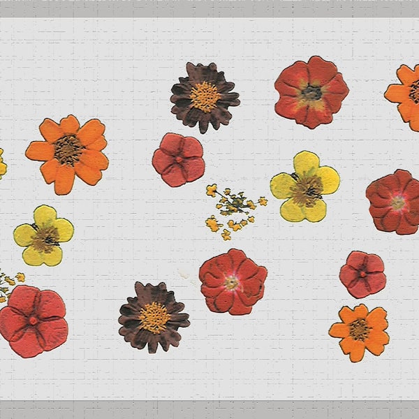 Dundee Deco Falkirk Dandy II Yellow Orange Flowers Floral Peel and Stick Wallpaper Border