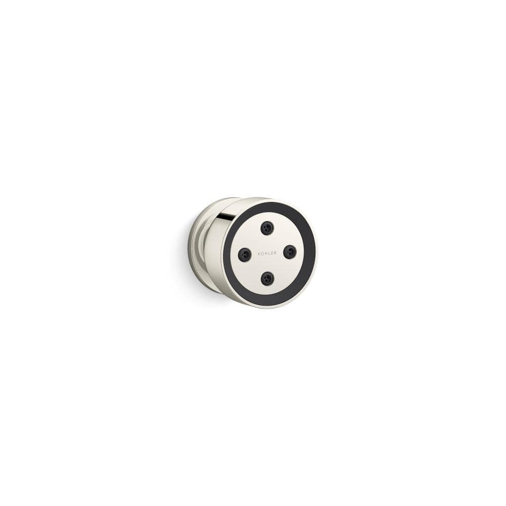 Statement 1-Spray Patterns Round 2.75 in. 2.5 GPM Body Spray in Vibrant Polished Nickel price history on PriceWatchPro