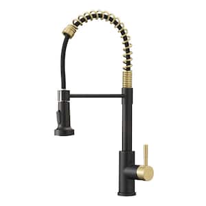 Single Handle Pull Down Sprayer Kitchen Faucet with Advanced Spray in Brushed Gold