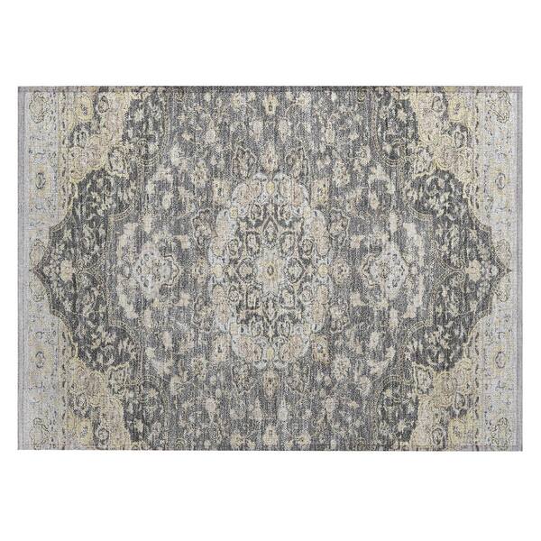 Chantille Machine Washable Indoor/Outdoor Abstract ACN2853 Gray 3 ft. x 4 ft. Area Rug
