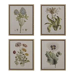 Anky 4-Piece Framed Art Print 21.84 in. x 17.84 in. Botanical Illustration Framed Canvas Wall Art Set