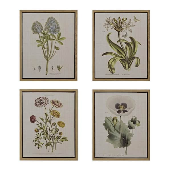 Miscool Anky 4-Piece Framed Art Print 21.84 in. x 17.84 in. Botanical ...