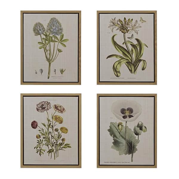 Miscool Anky 4-Piece Framed Art Print 21.84 in. x 17.84 in. Botanical Illustration Framed Canvas Wall Art Set