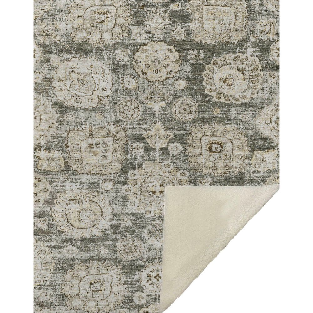 Premium Machine Washable ASB634 Taupe 50 in. x 70 in. Sherpa Throw Blanket price history on PriceWatchPro