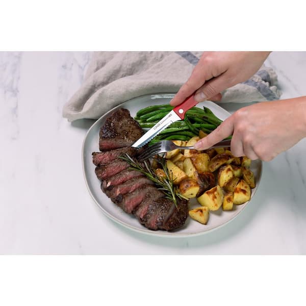 Ginsu Kiso 6-Piece Stainless Steel Steak Knife Set on QVC 