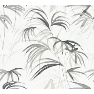 Inky Black Palms Wallpaper