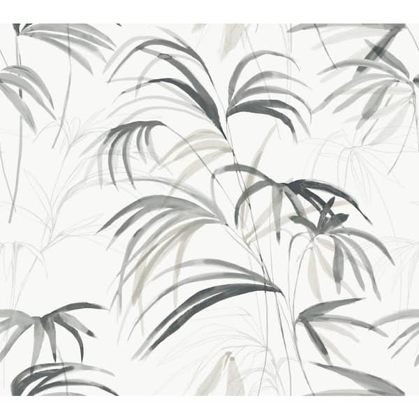 Candice Olson Inky Black Palms Wallpaper