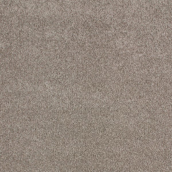 Lifeproof with Petproof Technology Cleoford Adventurer Brown 47 oz. Blend Texture Installed Carpet
