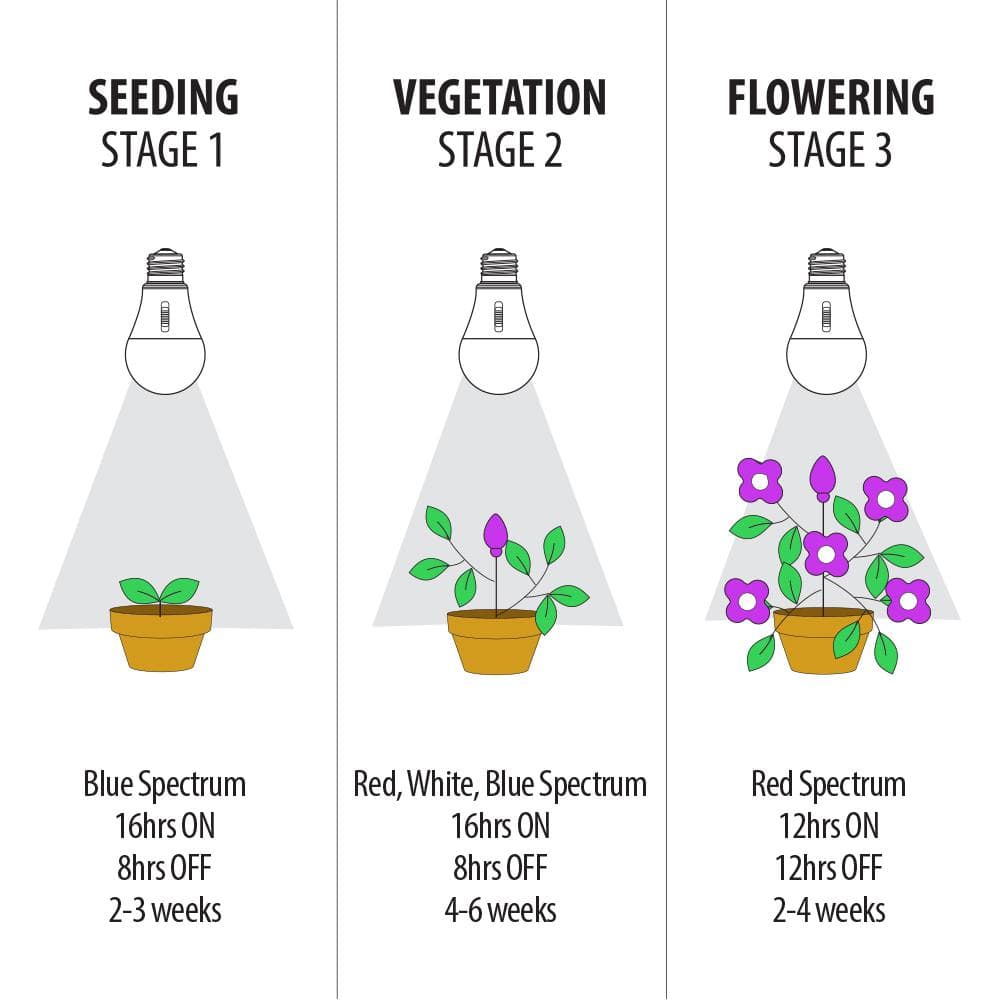 Green and White Adjustable Spectrum LED Grow Light Bulb