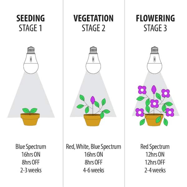 Blue spectrum grow light clearance