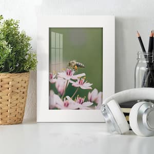 Modern 5 in. x 7 in. White Picture Frame (Set of 2)