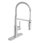 Statham Single-Handle Coil Spring Neck Kitchen Faucet with TurboSpray and FastMount in Chrome