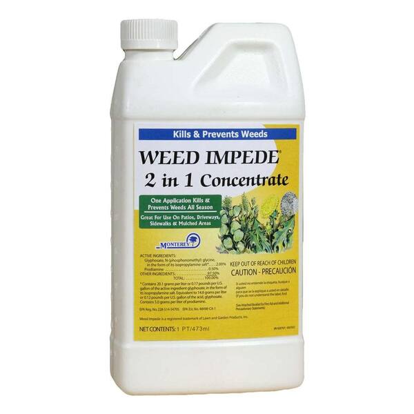 Monterey 1-pint Concentrate Weed Impede 2-in-1 Weed Killer