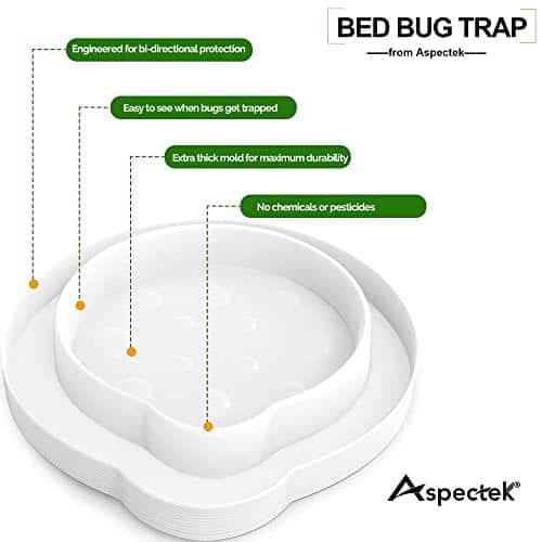 7 Homemade Bug Trap Plans to Catch Unwanted Pests