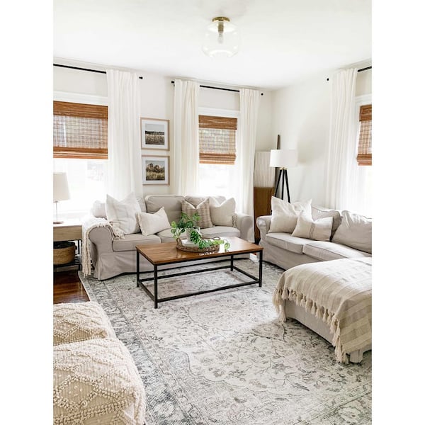 Haile Light Gray/Dark Gray/Neutral 2 ft. x 3 ft. Area Rug