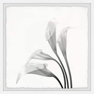 "Flower From the Sky" by Marmont Hill Framed Nature Art Print 12 in. x 12 in.