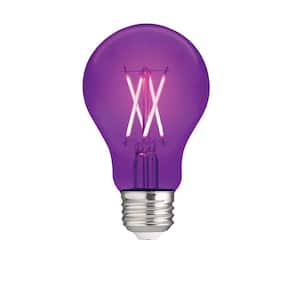 40-Watt Equivalent A19 Dimmable Filament Purple Colored Glass LED Light Bulb (1-Pack)