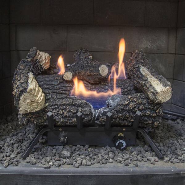 Pleasant Hearth Wildwood 18 in. Vent-Free Dual Fuel Gas Fireplace Logs  VFL2-WW18DT - The Home Depot