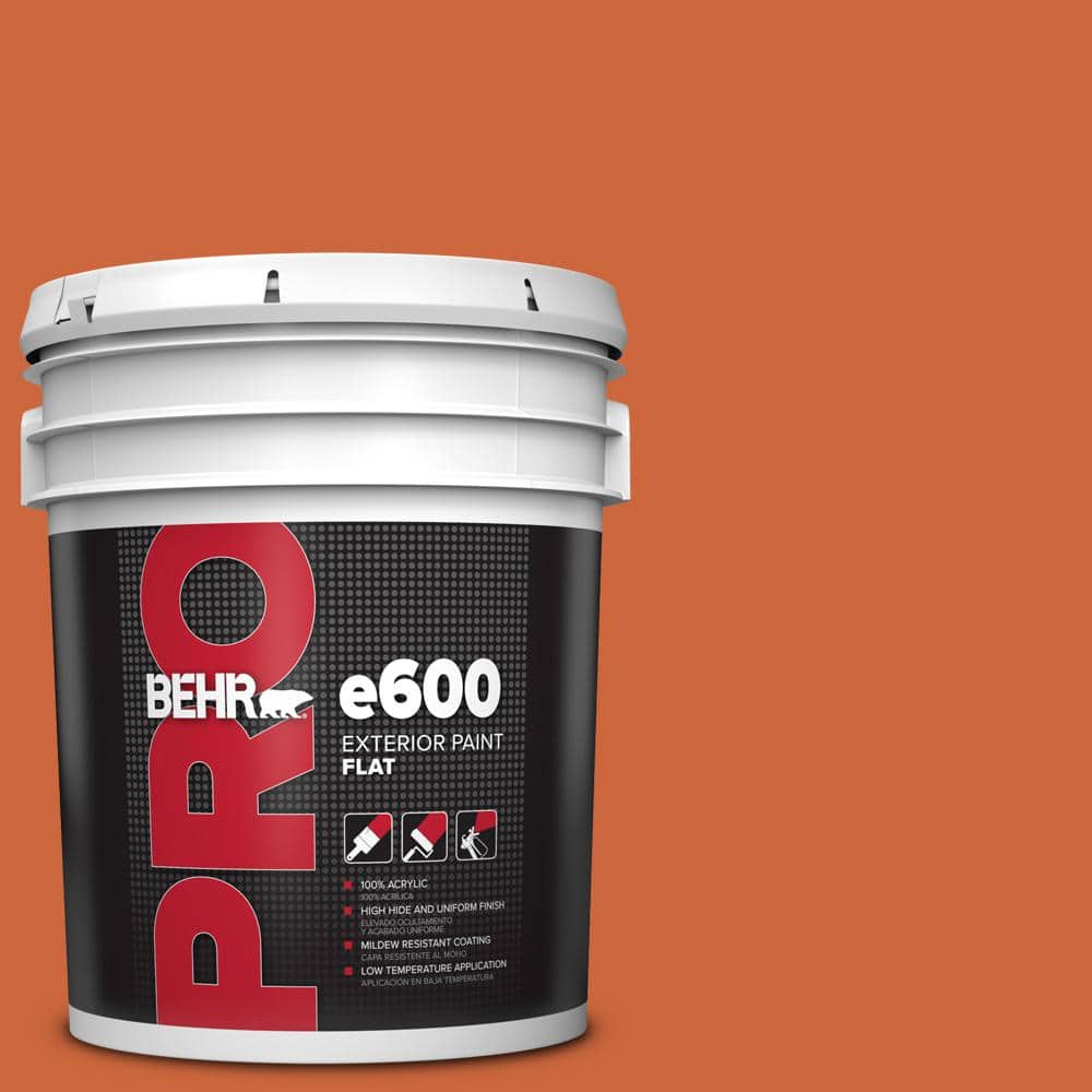 5 gal. #S-H-250 Pumpkin Patch Flat Exterior Paint price history on PriceWatchPro