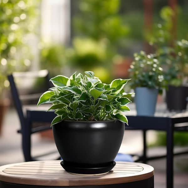 Black Ceramic Indoor/Outdoor Planter with Saucer (6.3 in. W x 4.4
