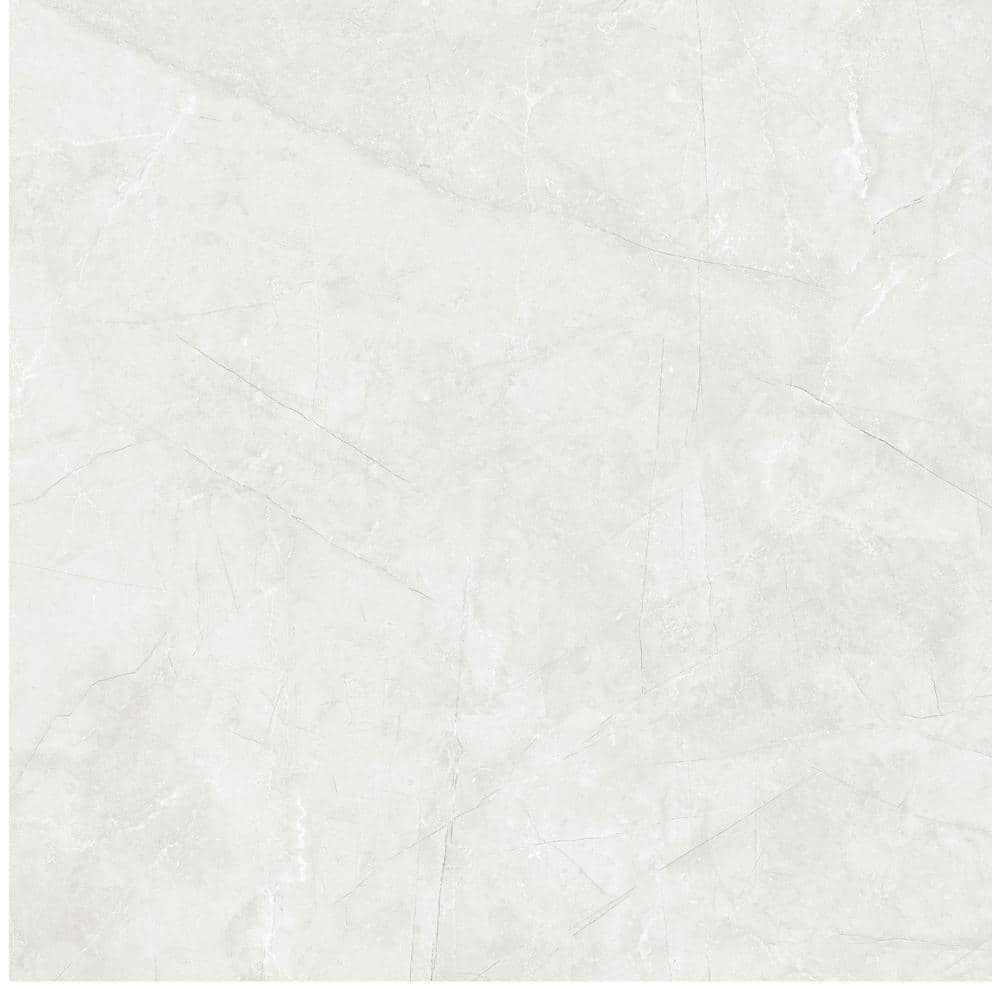 Gray/Polished 35.43 in. x 35.43 in. Palma Gris Porcelain Floor and Wall ...