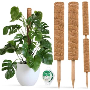 garden-stakes-b087t2y3bh-ycq-