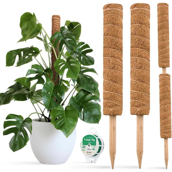 30 in. Moss Pole Plant Support with 65 ft. Garden Twist Tie for Climbing Plants to Grow Upwards