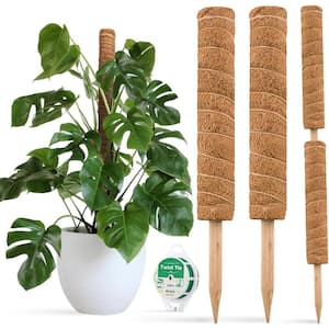 Plant Climbing Frame Plant Trellis Supporting Stick Plastic Moss Pole Indoor  Plant Pot stand Green Dill Vine Garden Accessories