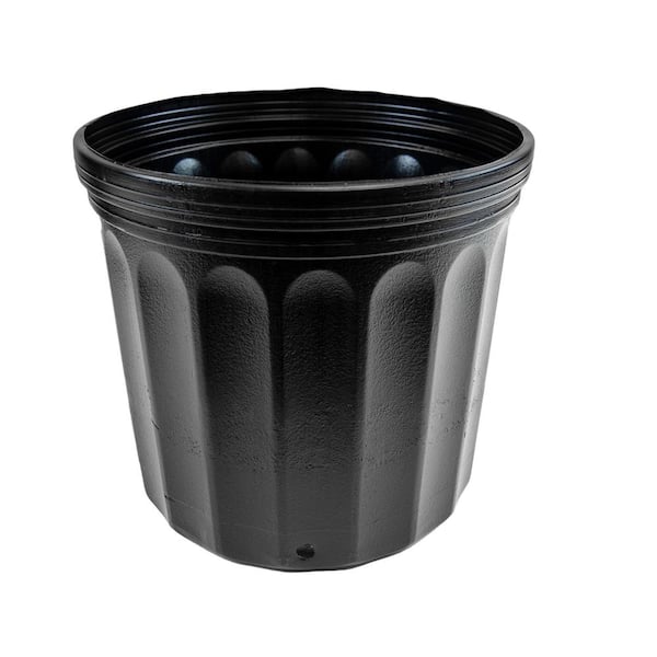 Viagrow 2 qt. Plastic Nursery Trade Pots with Coconut Coir Growing Media (50-Pack), Black