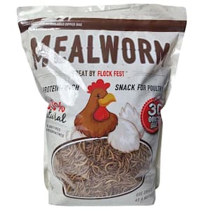 30 Oz Poultry Protein-Rich Snack from Whole-Dried Mealworms 100% Natural - No Additives or Preservatives (3-Pack)