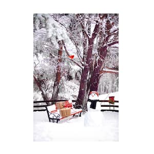 Unframed Home Celebrate Life Gallery 'Waiting For Christmas Eve' Photography Wall Art 12 in. x 19 in. .