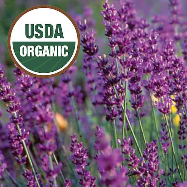 Ferry-Morse Organic Lavender True Herb Seed 9569 - The Home Depot