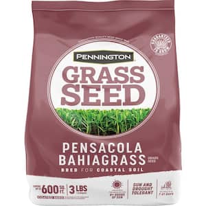 Pensacola Bahiagrass 3 lb. 600 sq. ft. Grass Seed