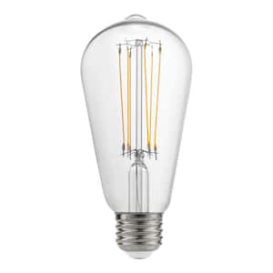 40-Watt Equivalent ST19 Dimmable Cage Filament LED Vintage Edison Light Bulb Daylight (1-Pack)