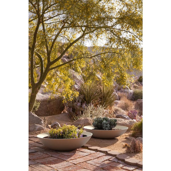 Lane Extra Large Sand Plastic Round Bowl Planter with Drainage Holes (32 in. L x 32 in. W x 8 in. H) (2-Pack)