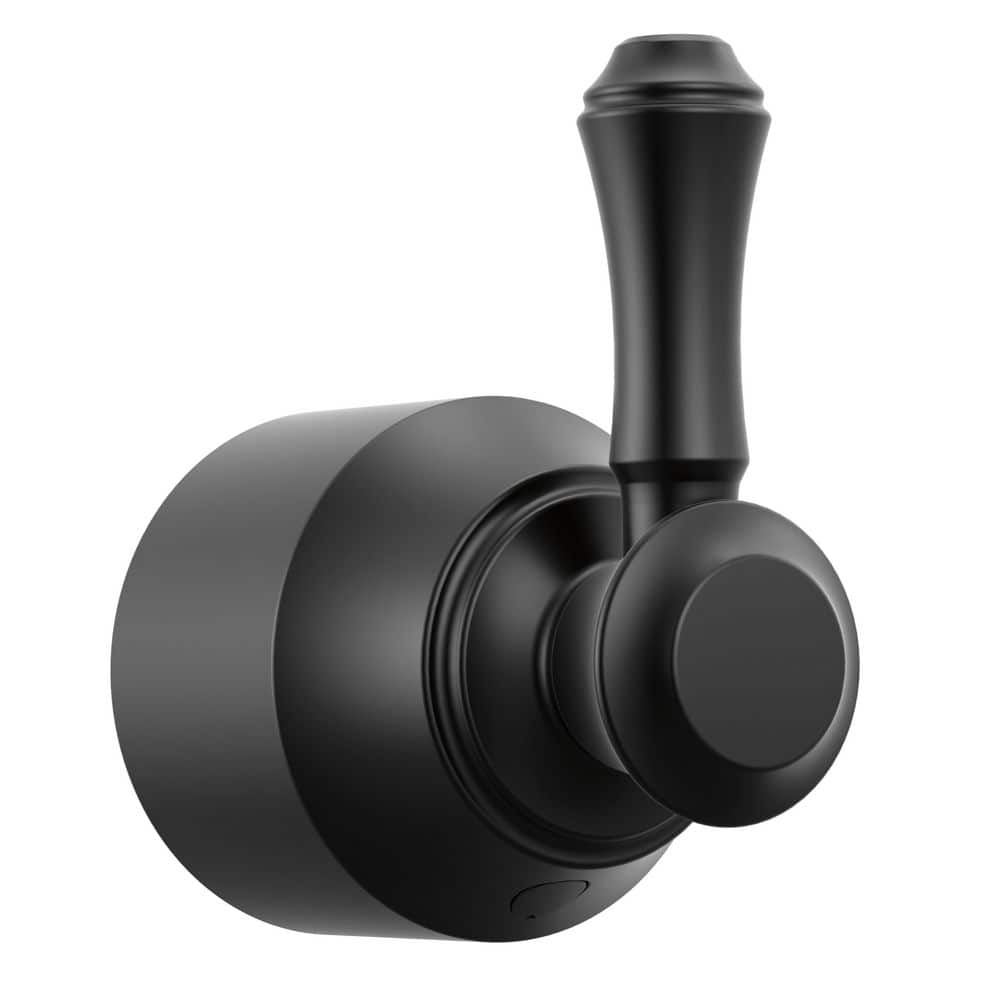 Delta (1-Pack) Cassidy Hand Shower/Diverter Valve Metal Lever