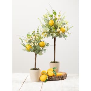 24 and 19 in. Yellow Artificial Herb Leaf and Lemon Topiary in Pot (Set of 2)